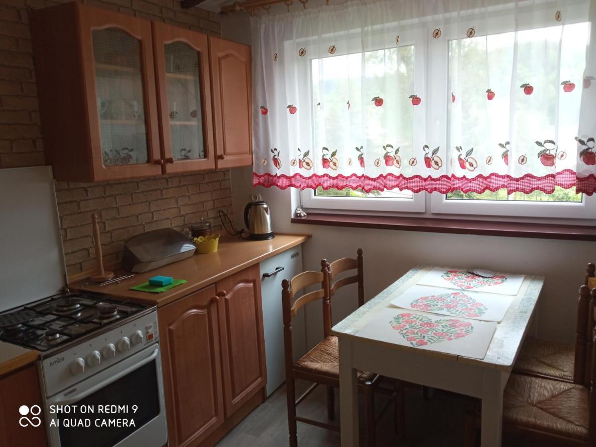 Domek I Apartamenty Stokrotka Криница-Здруй Екстериор снимка
